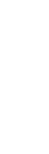 Guffi International Logo